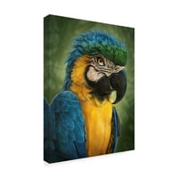 Marcă comercială Artă Plastică 'Parrot Totem' artă pe pânză de Patrick LaMontagne
