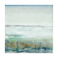 Marcă comercială Fine Art 'Turquoise Mist I' Canvas Art de Tim OToole