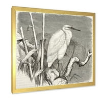 Designart 'pasăre egretă mică în monocrom' imprimare de artă încadrată la fermă