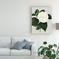 Marcă comercială Fine Art 'Camellia Japonica II' Canvas Art by Vision Studio