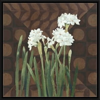 Imagini Narcissus pe Brown II