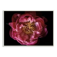 Stupell Industries bujor floare Pistil Minimal Roz Galben fotografie neîncadrate arta imprimare arta de perete, 10x15