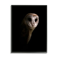 Stupell Industries frumos intens Barn Owl Black Shadow Fotografie portret 20, Design de Incado
