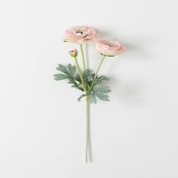 Sullivans Gradina Artificiala Ranunculus Stem 21.5 H Floare Roz