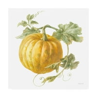 Marcă comercială Fine Art 'Floursack Autumn V on White' Canvas Art de Danhui Nai