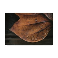 Marcă comercială Fine Art 'Autumn Shivers' Canvas Art de Christine Sainte-Laudy