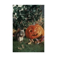 Marcă comercială Fine Art 'Halloween' Canvas Art de Ron Parker
