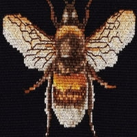 Bumble Bee Pe Aida Numărate Cruce Cusatura