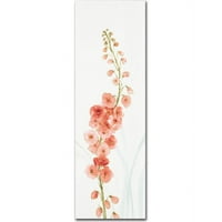 Marcă comercială Fine Art Rainbow Seeds Flowers VII Coral Canvas Art de Lisa Audit