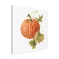 Marcă comercială Fine Art 'Floursack Autumn VIII on White' Canvas Art de Danhui Nai